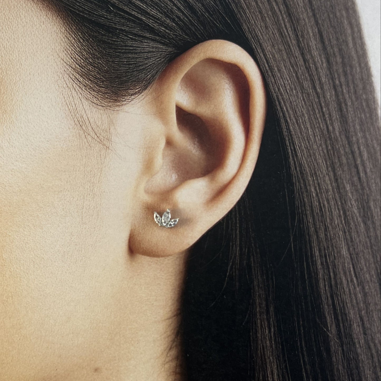 Broqueles acero inoxidable corona hojas zirconias