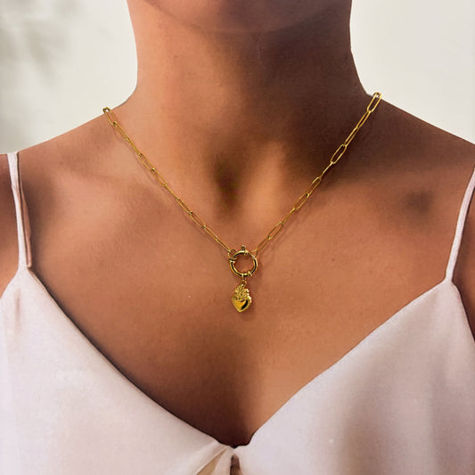 Collar multidijes acero inoxidable broche marino